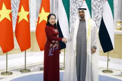 Vice State President meets with President of UAE