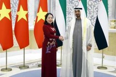 Vice State President meets with President of UAE