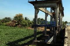 Saltwater intrusion forecast to come early in Mekong Delta