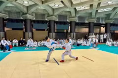Karate tournament organised for overseas Vietnamese in Japan