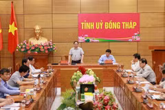 Dong Thap asked to become pionner in developing modern rural areas