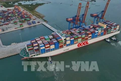 Vietnam’s seaport throughput rebounds in 10 months