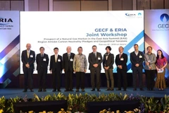 ASEAN’s natural gas demand to more than double in 2050