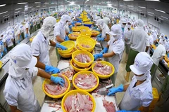 Vietnam needs brand building to boost exports to CPTPP market