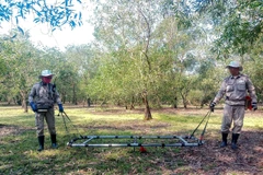 Nearly 300 war-time explosives found in Quang Tri