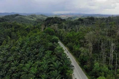 Indonesian parliament passes key changes in new capital city law