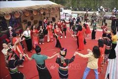 Culinary contest, street parade held within Hoa Ban Festival in Dien Bien