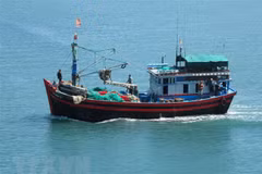 Quang Tri tightens fishing vessel monitoring to fight IUU fishing