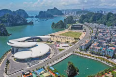 Quang Ninh tops public administration indexes for fourth consecutive year