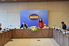 Mobilising OV resources for national development: Deputy FM