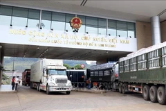 PM orders urgent measures to prevent goods congestion at northern border gates