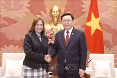 Vietnam, Cuba nurture decades-long special relations