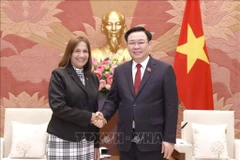 Vietnam, Cuba nurture decades-long special relations