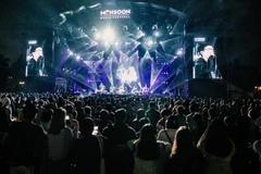 Brand building helps spur Vietnam’s cultural industry: official