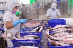 Fisheries exports estimated at 1.85 billion USD in Q1