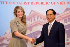 Substantial potential for Vietnam, Canada to advance relations: ambassador