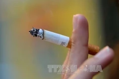 Ministry proposes a hike in special consumption tax on cigarettes, beer, spirits