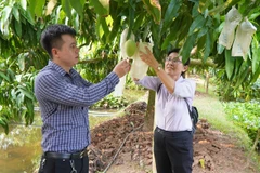 Dong Thap province develops agricultural tourism