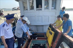 Ba Ria-Vung Tau: Ship owners violating vessel-monitoring-system rules fined over 3.6 billion VND