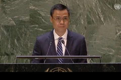 Vietnam condemns terrorism in all forms, manifestations: Ambassador