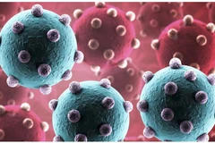 Cambodia confirms second human case of H5N1 avian flu