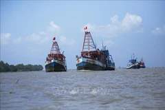Kien Giang fights IUU fishing