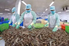 Seafood exporters' profit projected to fall in 2023