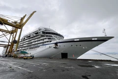 Chinese cruise ship brings 700 foreign visitors to Da Nang