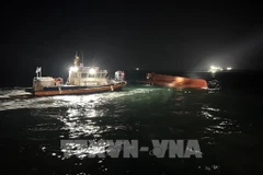 Two Vietnamese fishermen missing in boat sinking in RoK