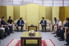 Direct flight between Japanese, Vietnamese localities proposed