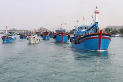 Vietnam seriously implements EC recommendations in IUU fishing combat: Ministry