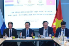 Vietnam, Netherlands cultivate practical, effective relations