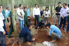 Remains of 50 more Vietnamese martyrs unearthed in Cambodia