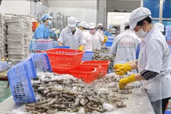 Shipments to China account for 22% of total agro-forestry-fishery exports