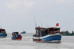 Deputy Minister inspects Hai Phong’s fight against IUU fishing