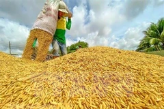 ASEAN member nations urged to prioritise intra-bloc rice exports 
