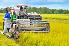 Global conference on transformation of food system to take place next week
