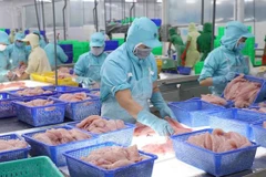 Tra fish exports predicted to recover from third quarter