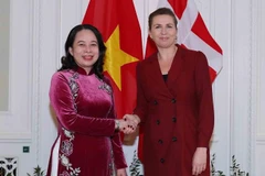 Vietnam, Denmark agree to soon implement green strategic partnership