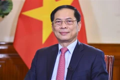 Further efforts planned to promote Vietnamese bamboo diplomacy: FM