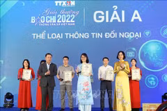 Awards affirm VNA’s role in domestic press circle