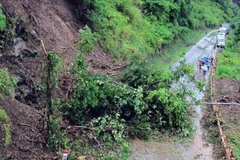 Vietnam improving landslide warning capacity