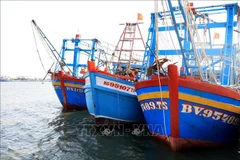 Southern coastal provinces crack down on IUU fishing