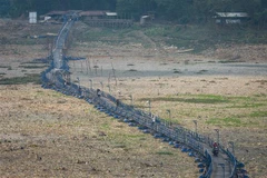 Indonesia becomes largest importer of Thailand's rice