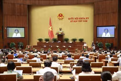 12th working day of 15th National Assembly’s fifth session