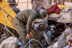 Sympathy offered to Morocco over earthquake-caused loss