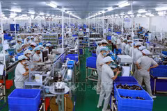 Action plan approved to implement foreign investment cooperation strategy