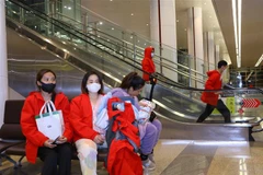 More charter flights to be launched to bring Vietnamese home from Myanmar
