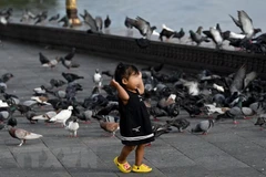 Campuchia reports third H5N1-related death 