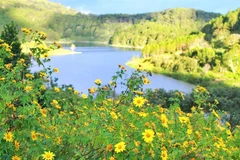 Da Lat aims to become ‘Green Paradise’ through sustainable tourism development